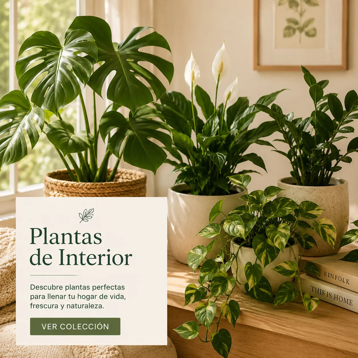 Plantas Naturales