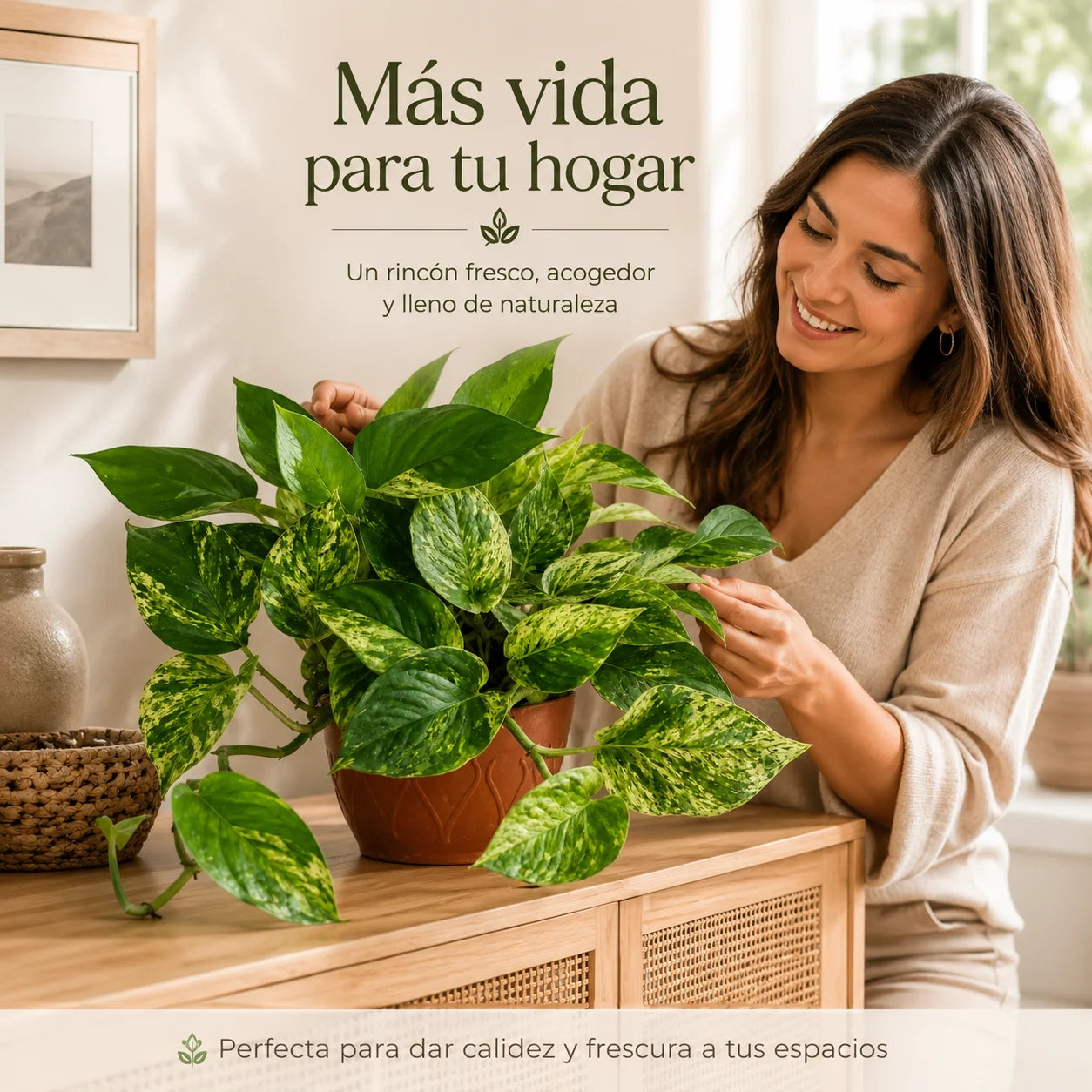 Pothus Marmol
