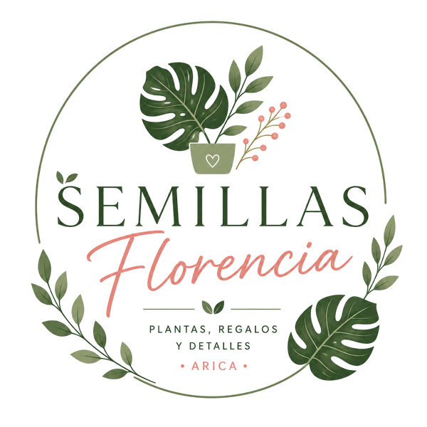 Plantas semillas florencia